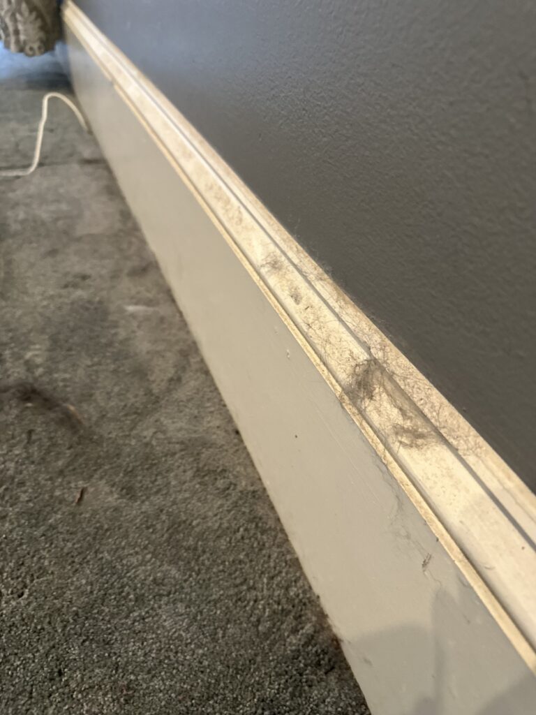 Post Construction | Move In & Move Out Cleaning Gallery Thumbnail