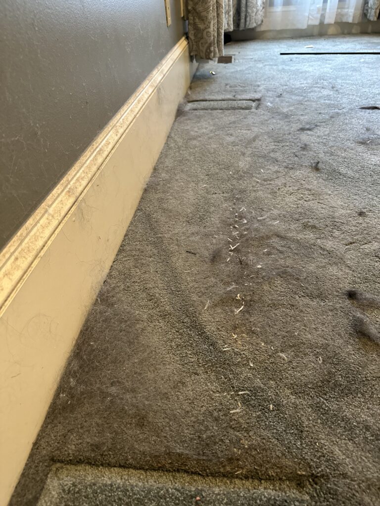 Post Construction | Move In & Move Out Cleaning Gallery Thumbnail